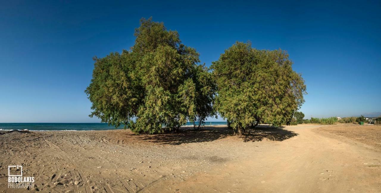 Sirens House Βίλα Ταυρωνίτης Εξωτερικό φωτογραφία